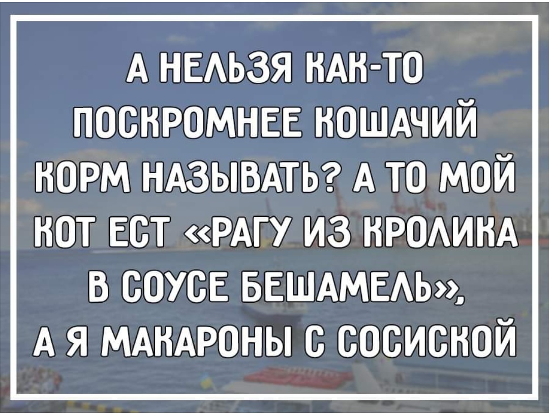 IMG_20191106_154817.jpg