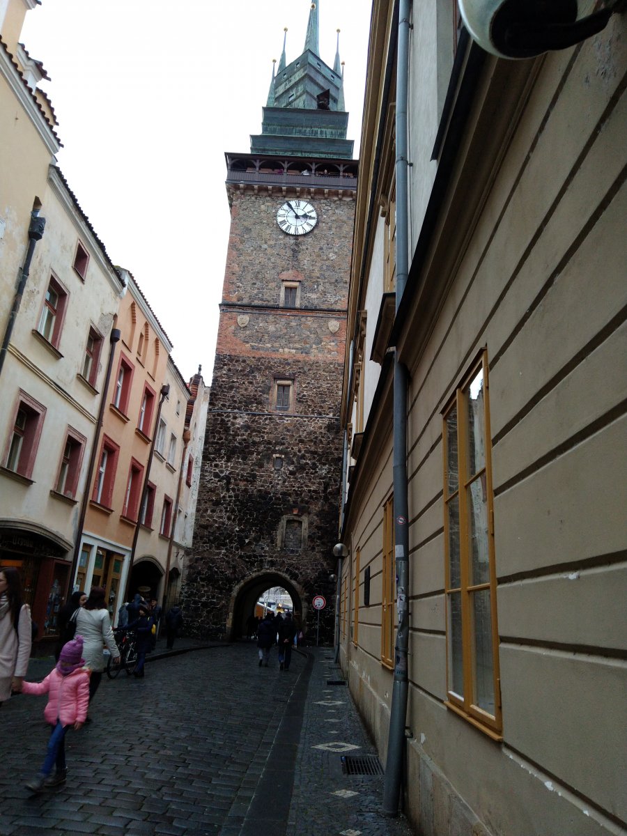 IMG_20191215_145326.jpg
