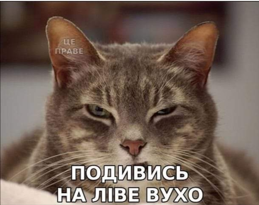 IMG_20191224_231634.jpg