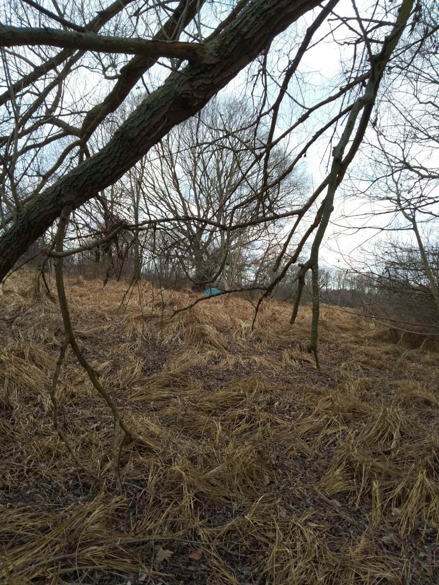 IMG_20191229_125400.jpg