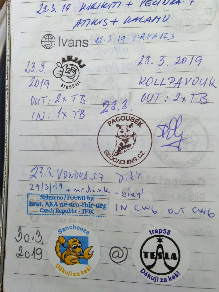 IMG_20191229_131208.jpg