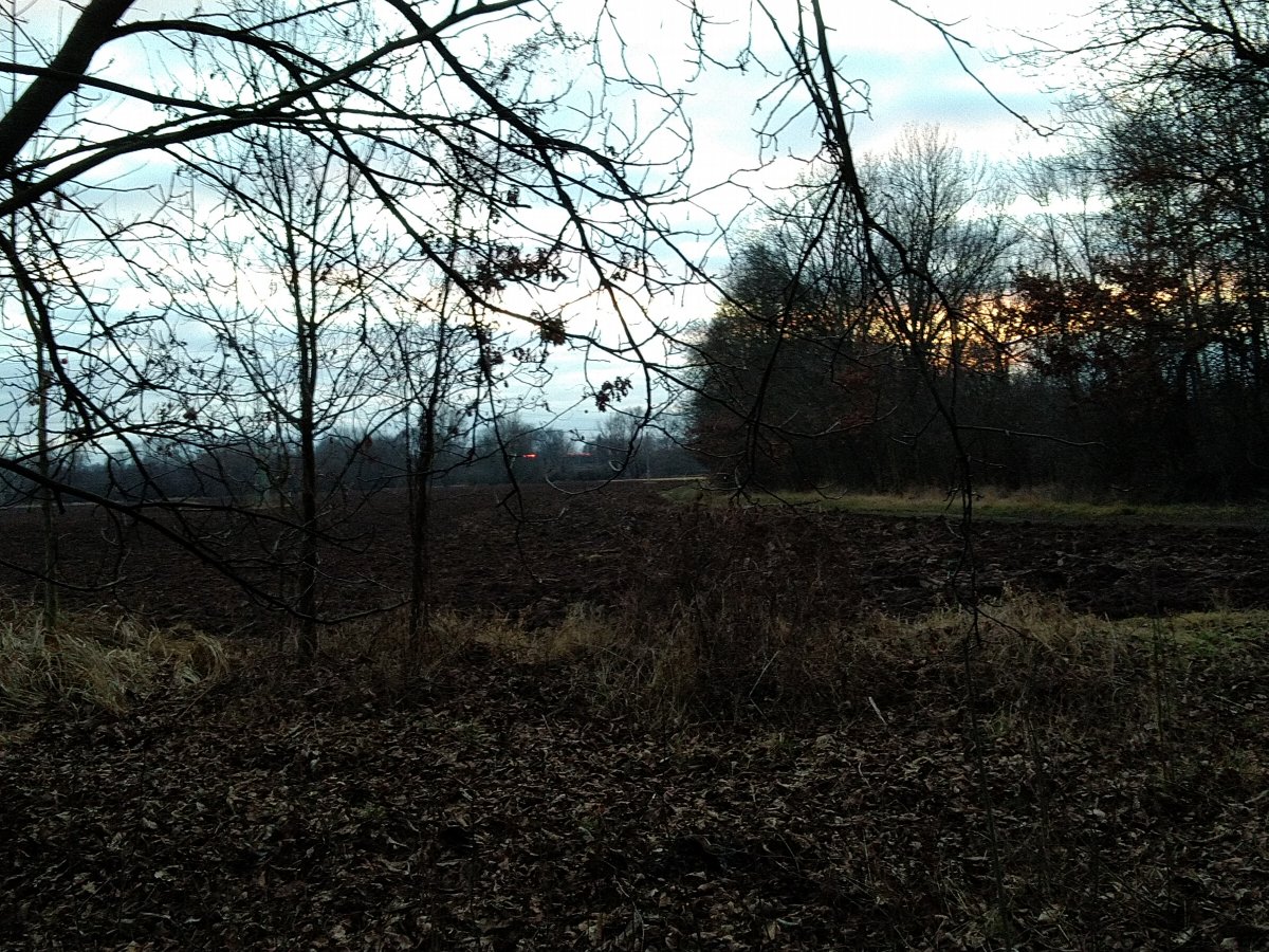 IMG_20191229_155215.jpg