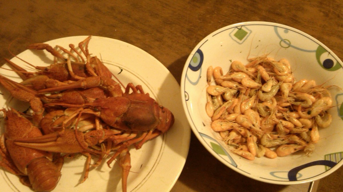 IMG_20200228_204533.jpg