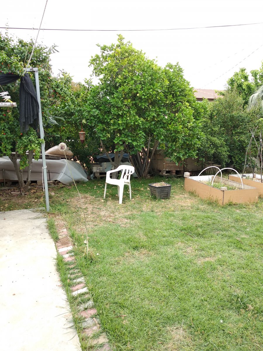 IMG_20200509_082719.jpg