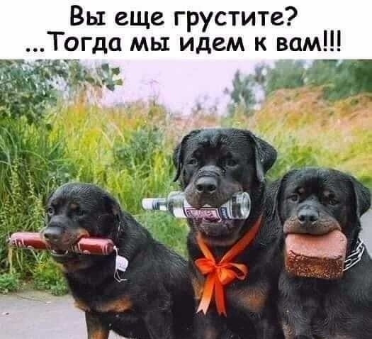 IMG_20200603_181402.jpg