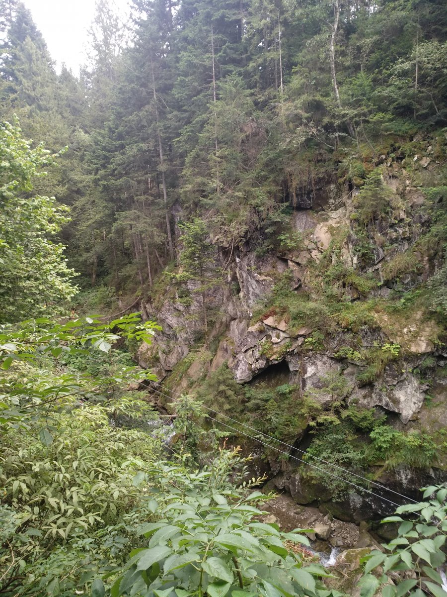 IMG_20200826_153116.jpg