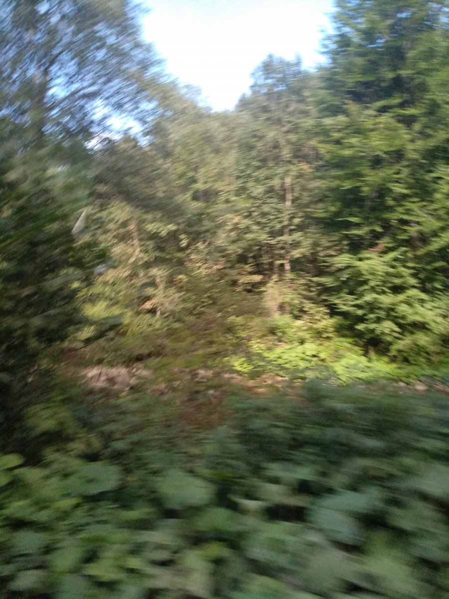 IMG_20200826_160836.jpg