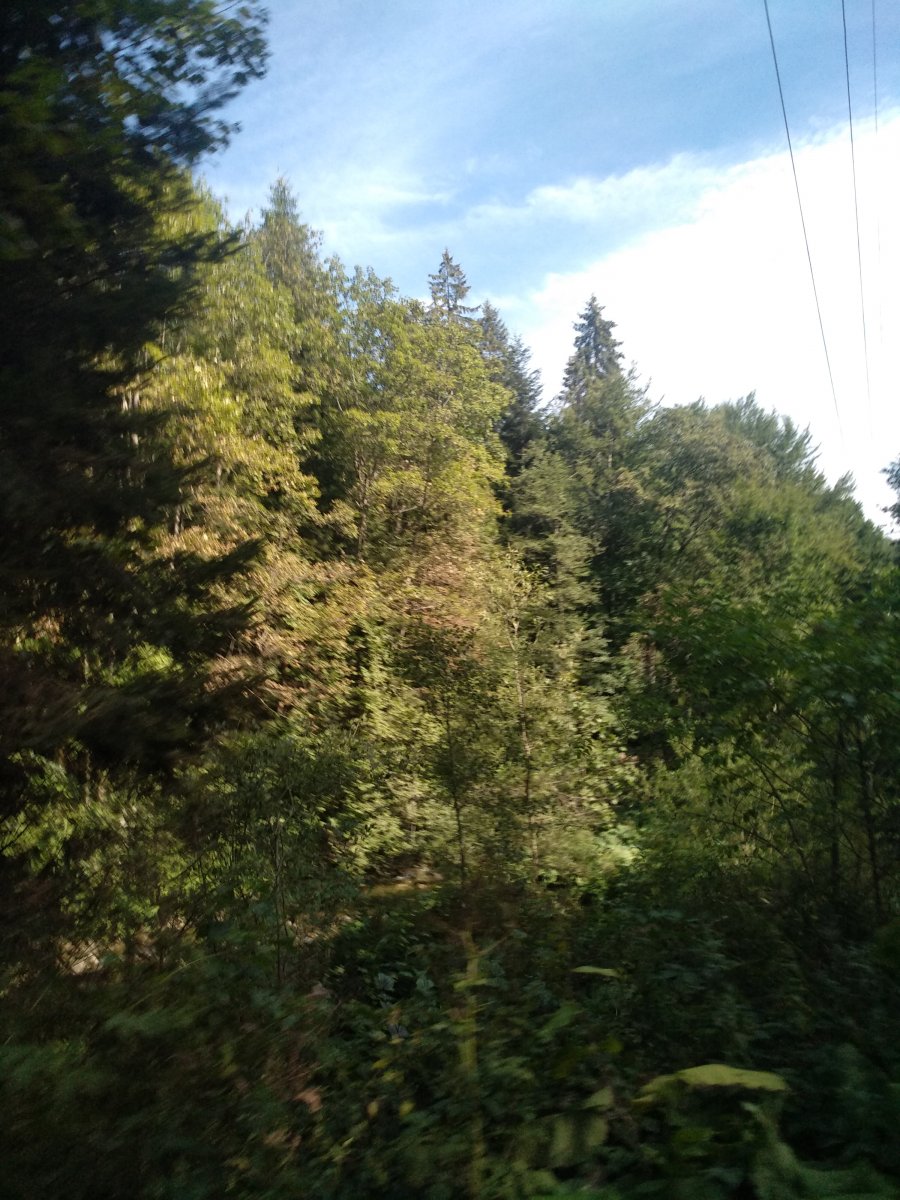 IMG_20200826_161124.jpg