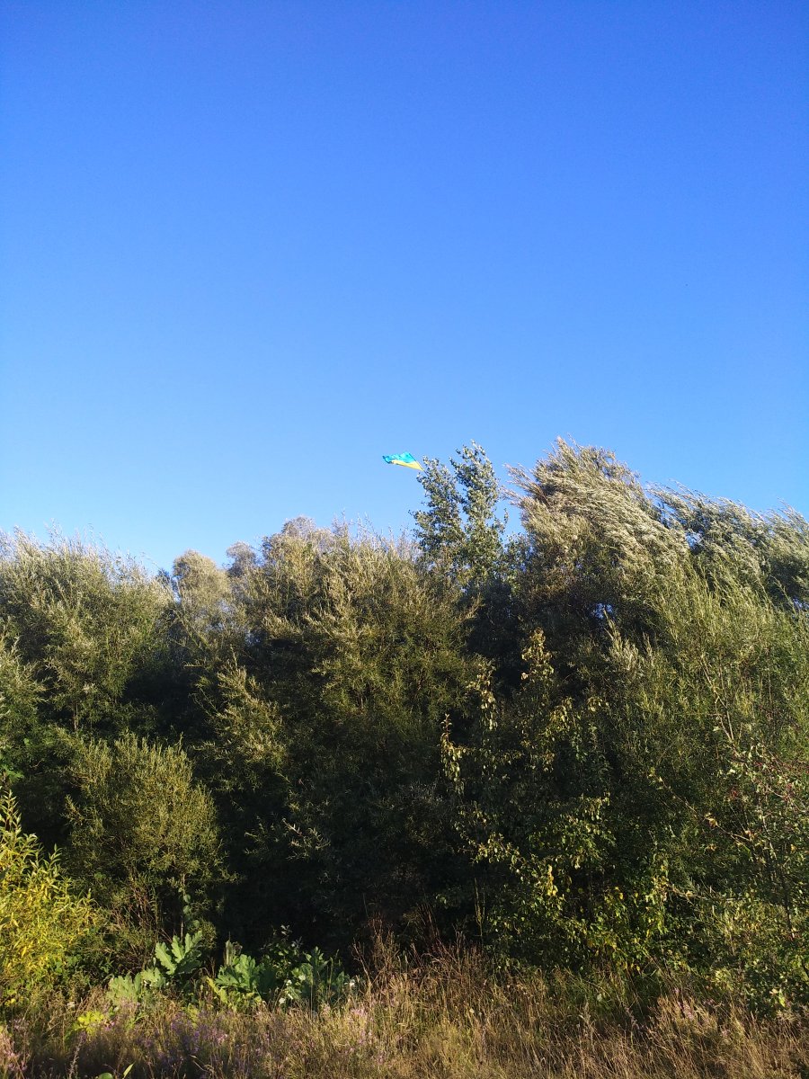 IMG_20200826_184915.jpg