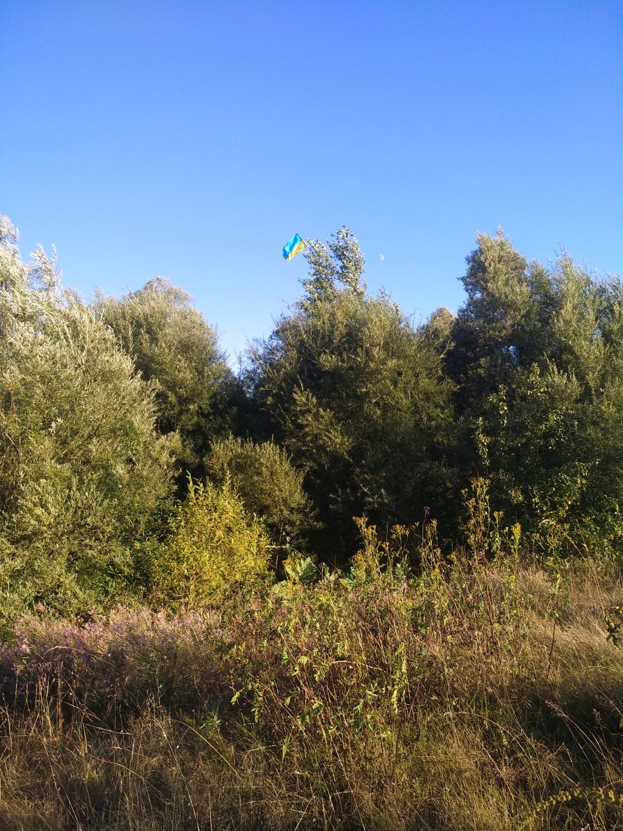 IMG_20200826_184939.jpg