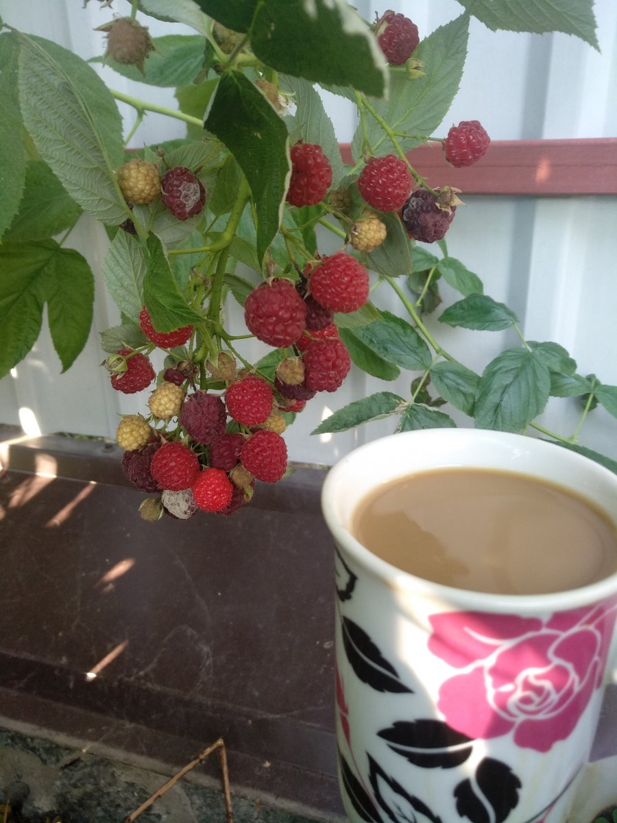 IMG_20200906_082250.jpg
