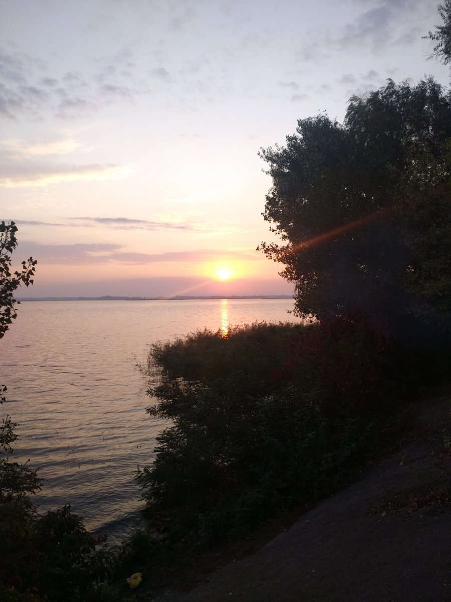 IMG_20200926_070906.jpg