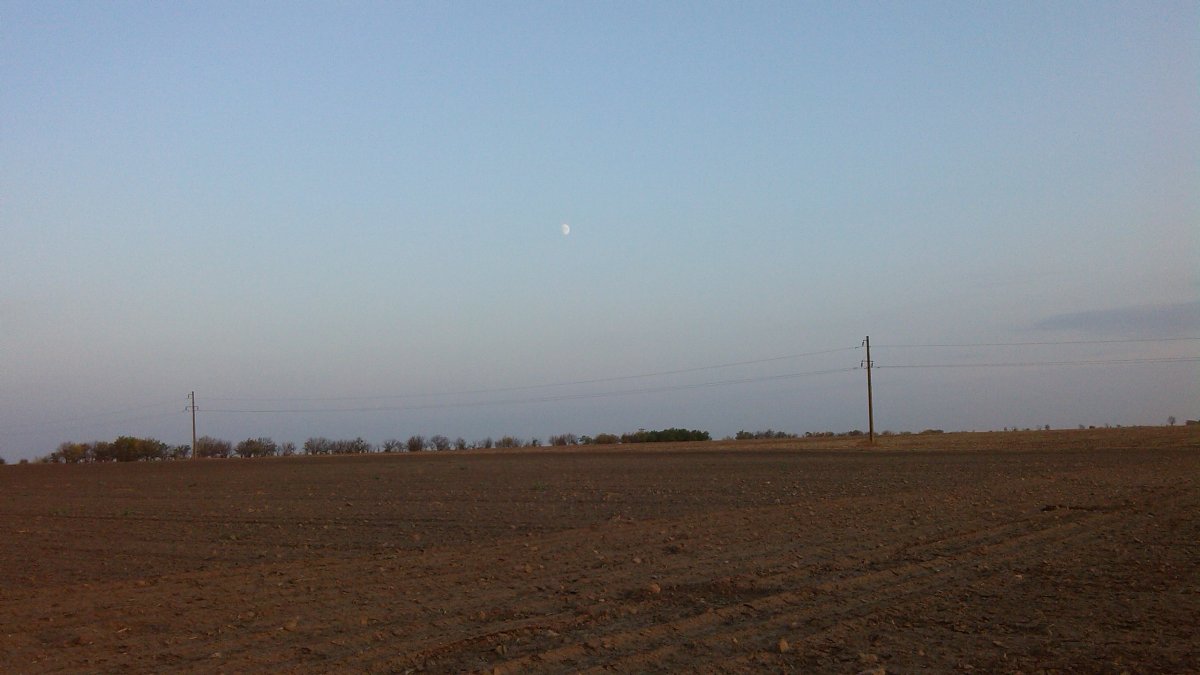 IMG_20200926_180430.jpg