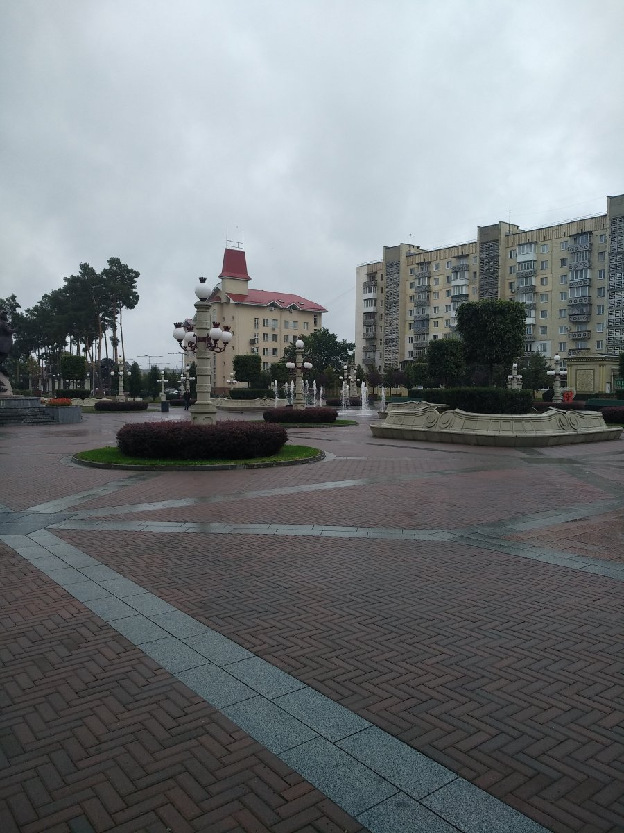 IMG_20200930_144048.jpg