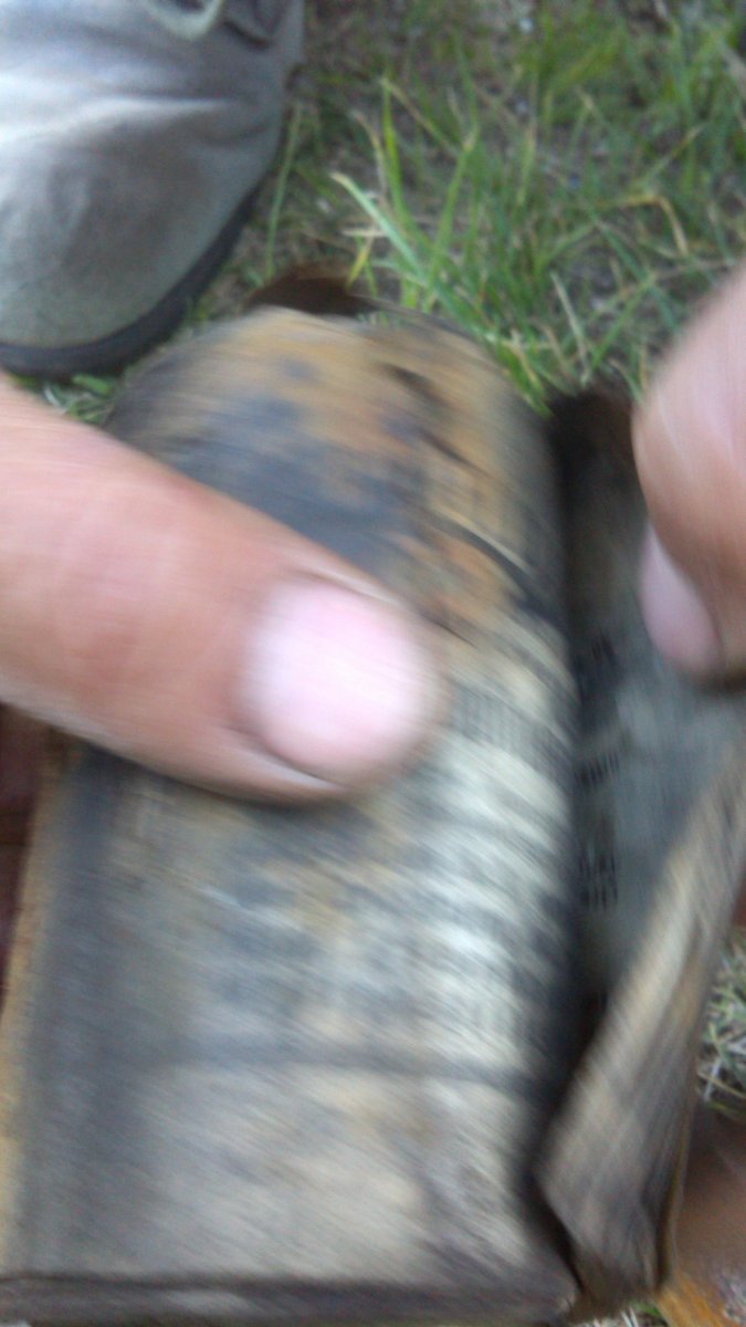 IMG_20201005_162148.jpg