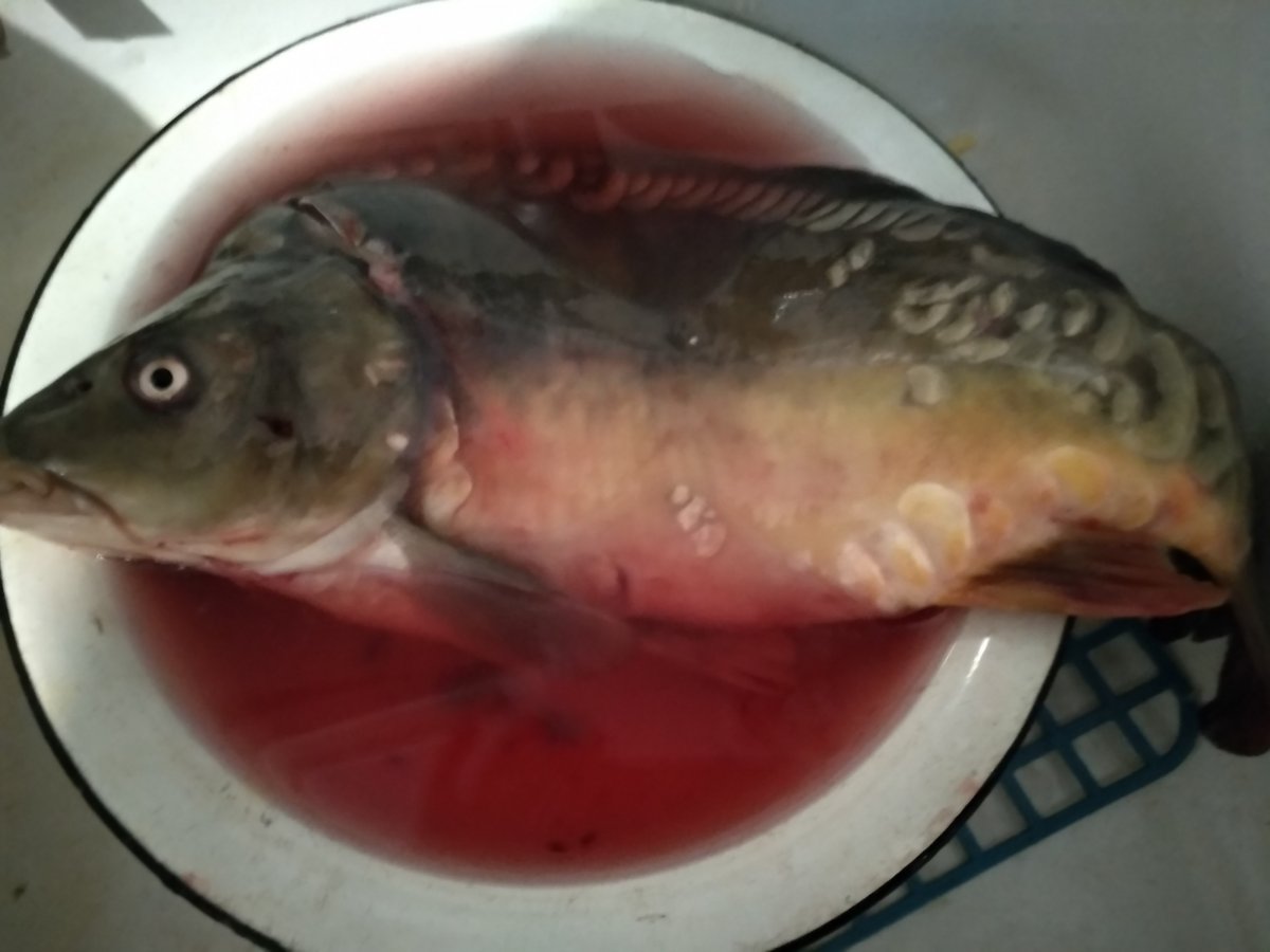 IMG_20201101_114414.jpg