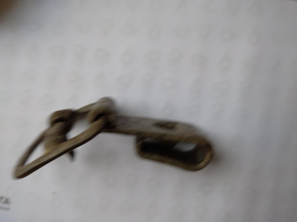 IMG_20201109_124416.jpg