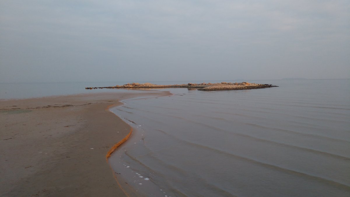 IMG_20201114_073434.jpg