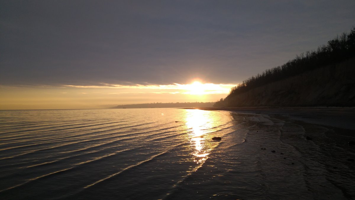 IMG_20201114_073442.jpg
