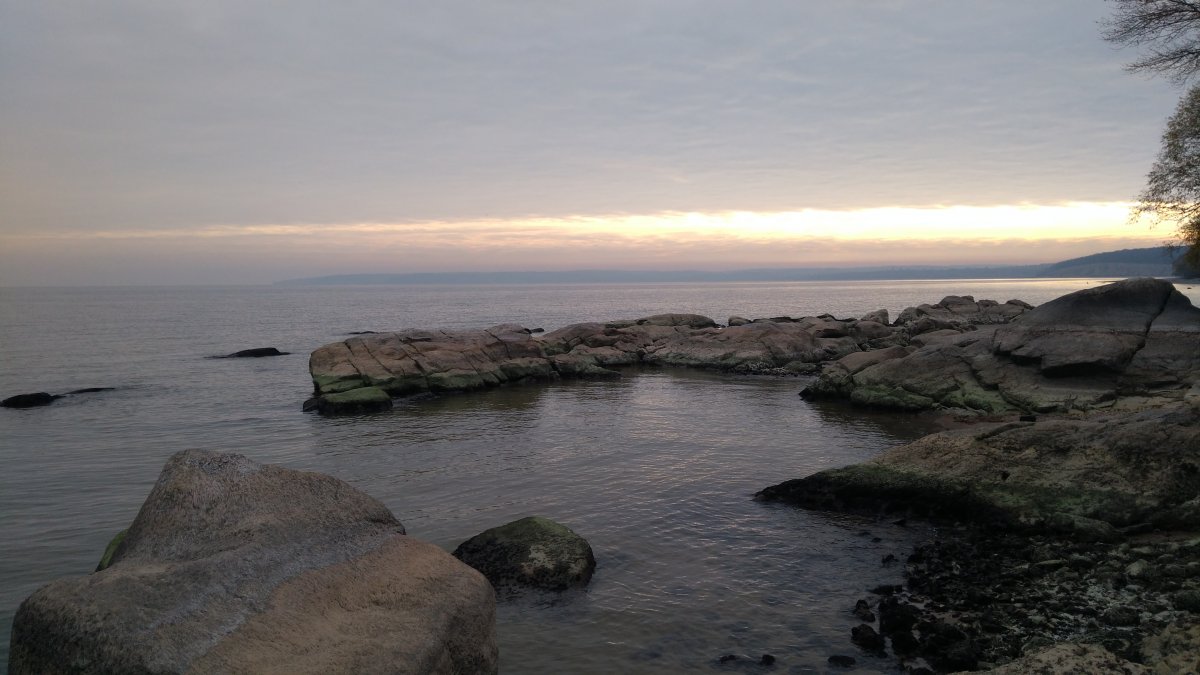 IMG_20201114_090228.jpg
