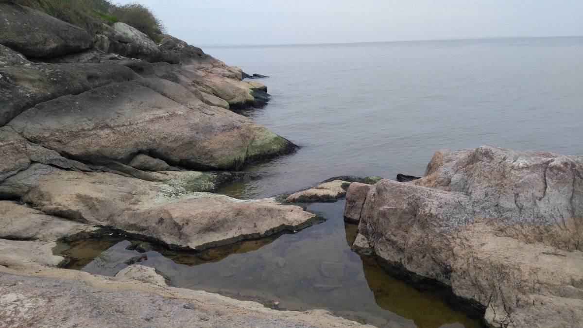IMG_20201114_090237.jpg