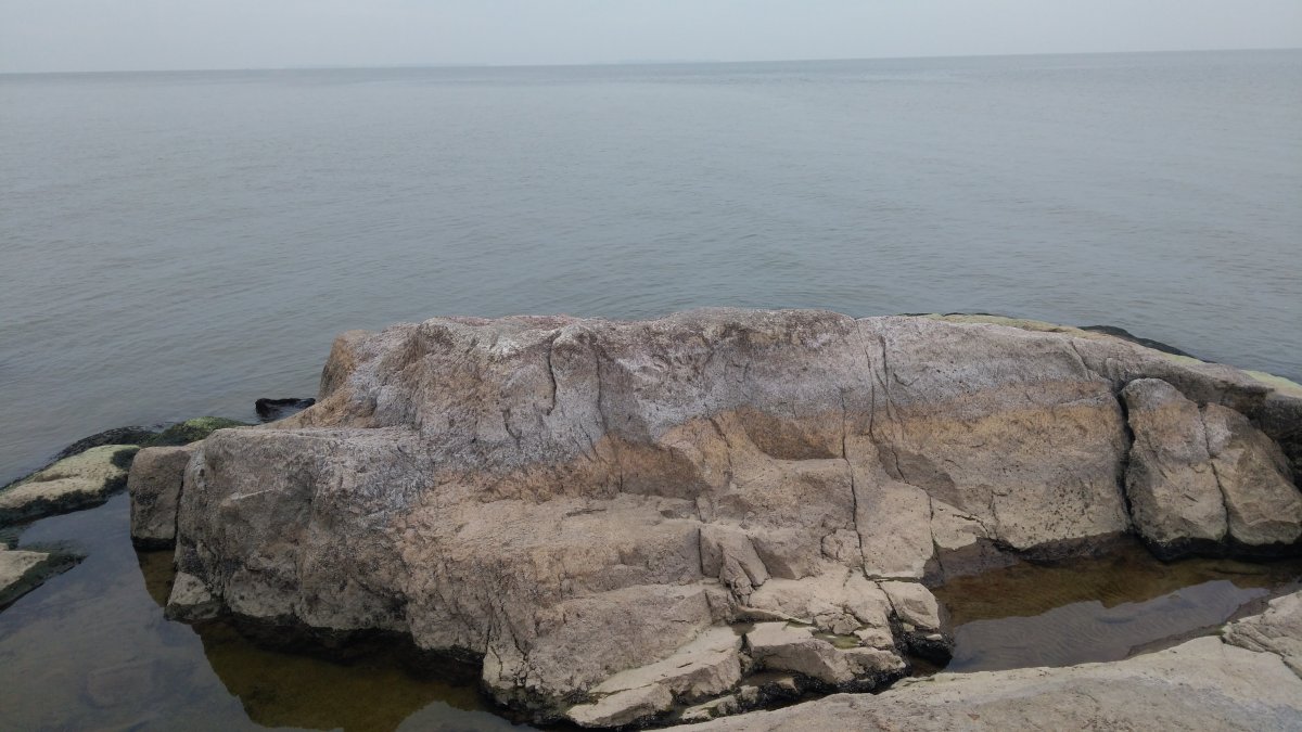 IMG_20201114_090244.jpg