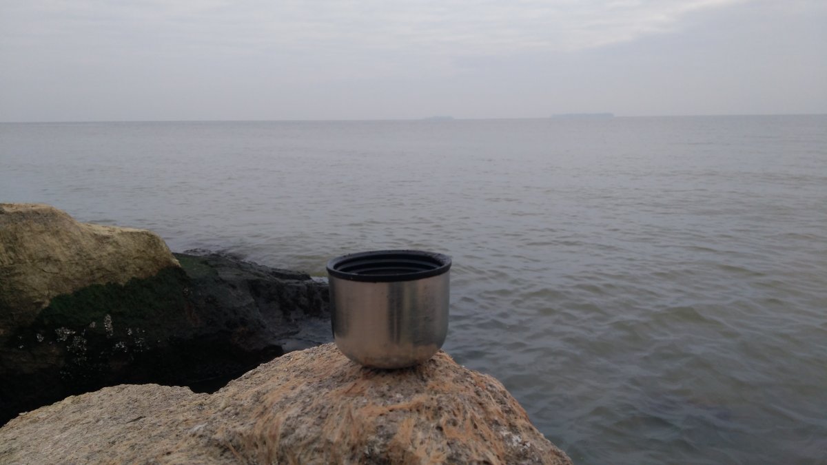 IMG_20201114_090403.jpg