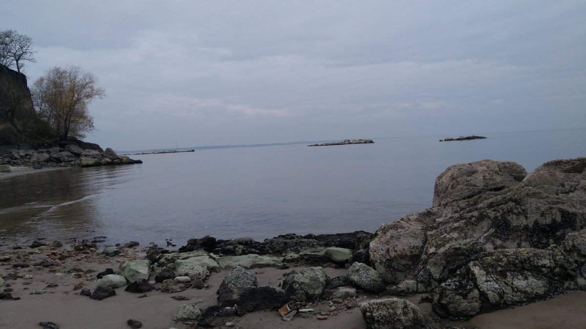 IMG_20201114_100541.jpg