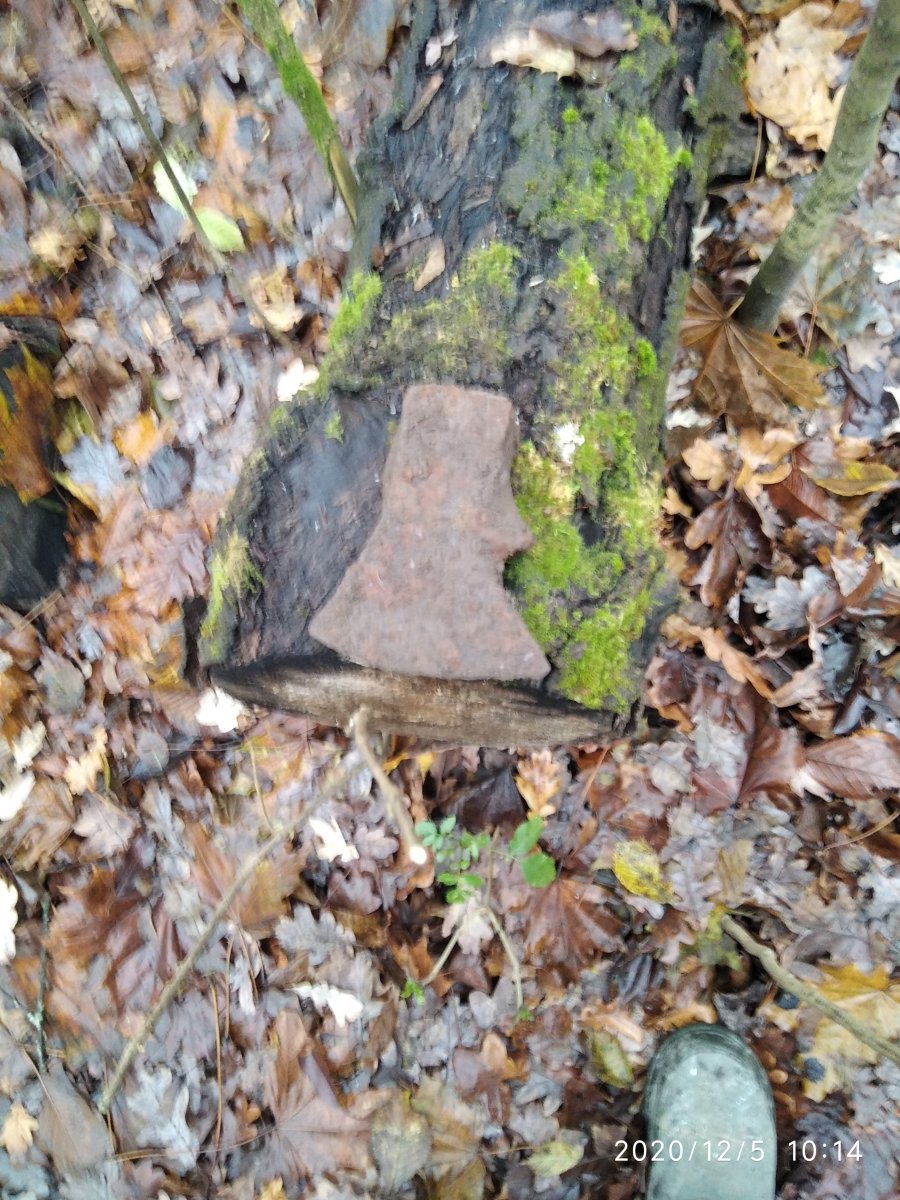 IMG_20201205_101423_1.jpg
