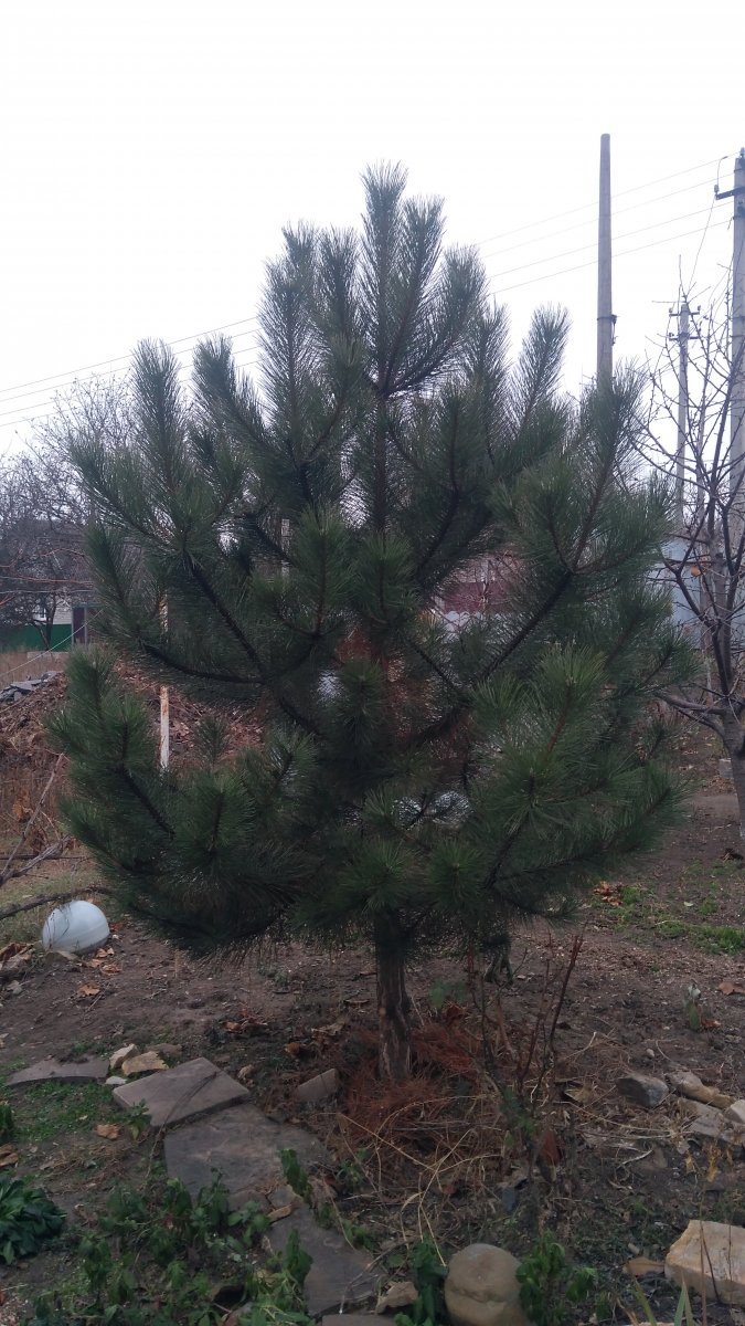 IMG_20201221_093751.jpg