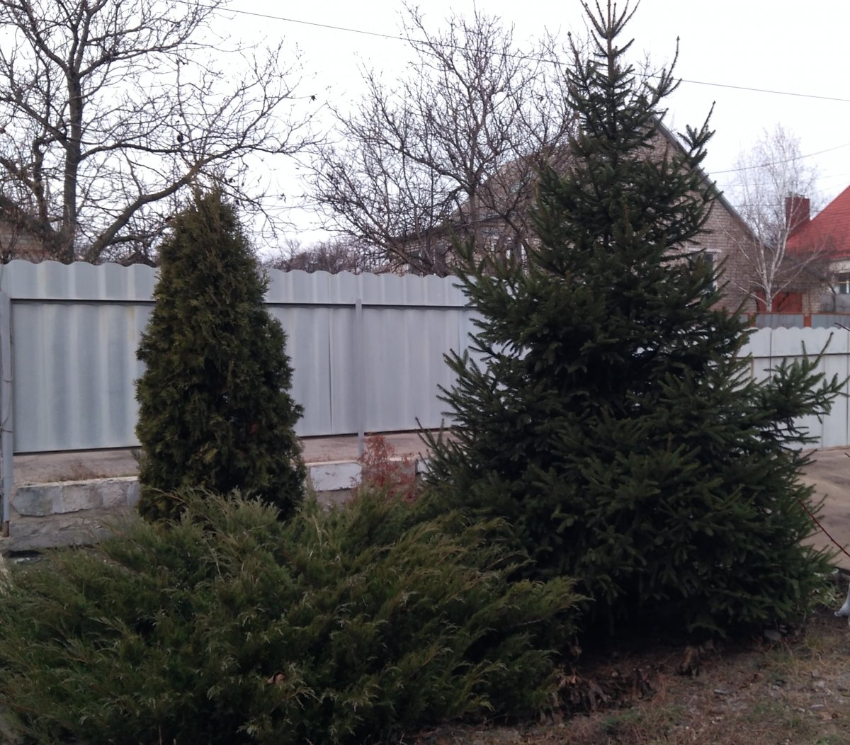 IMG_20201221_125822.jpg