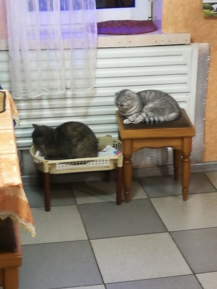 IMG_20201228_204524.jpg