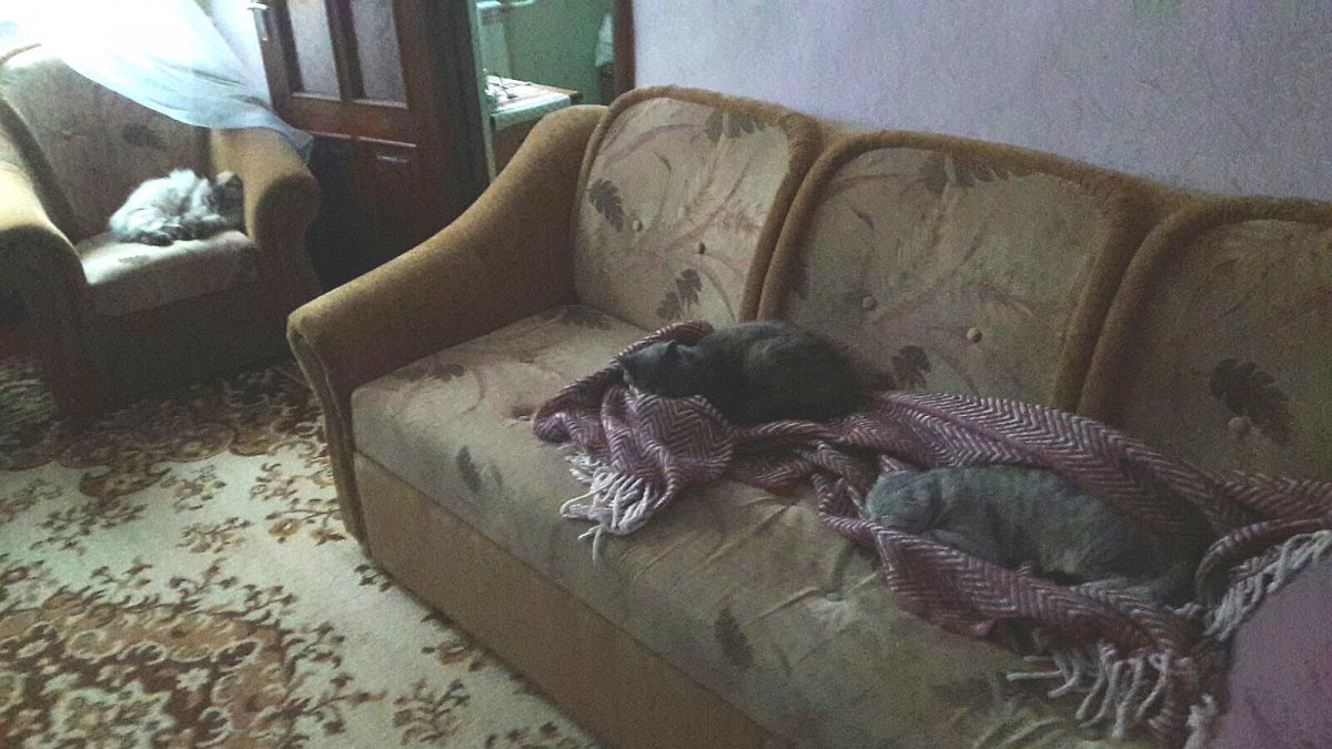 IMG_20210122_165404.jpg