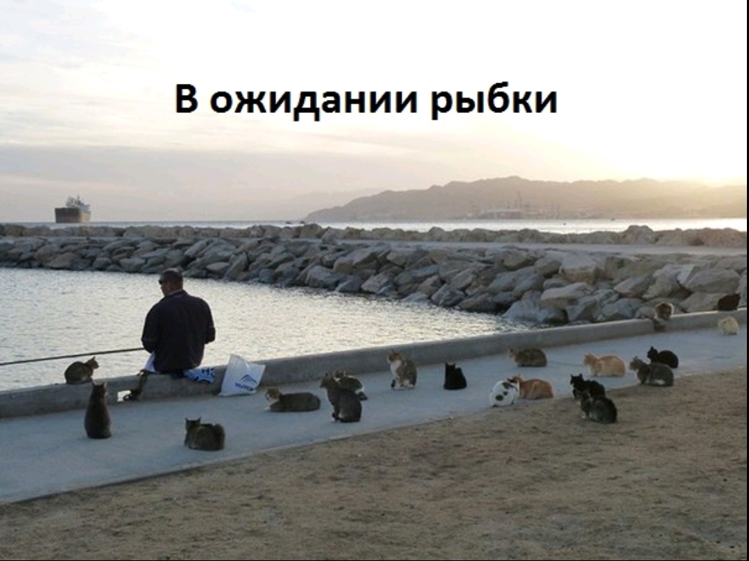 IMG_20210527_071842.jpg
