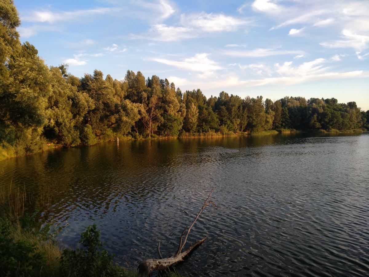 IMG_20210628_203757.jpg
