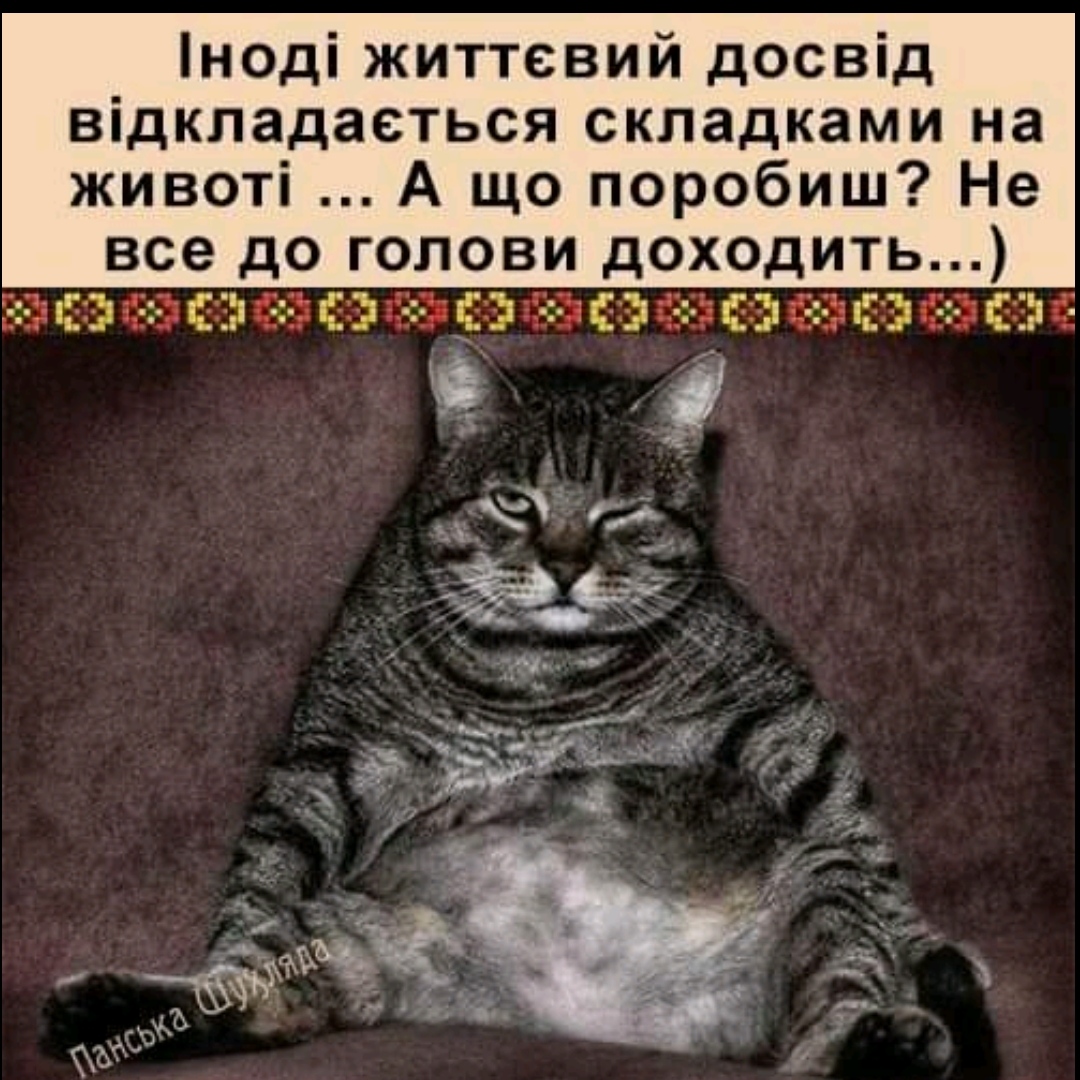 IMG_20210629_201916.jpg
