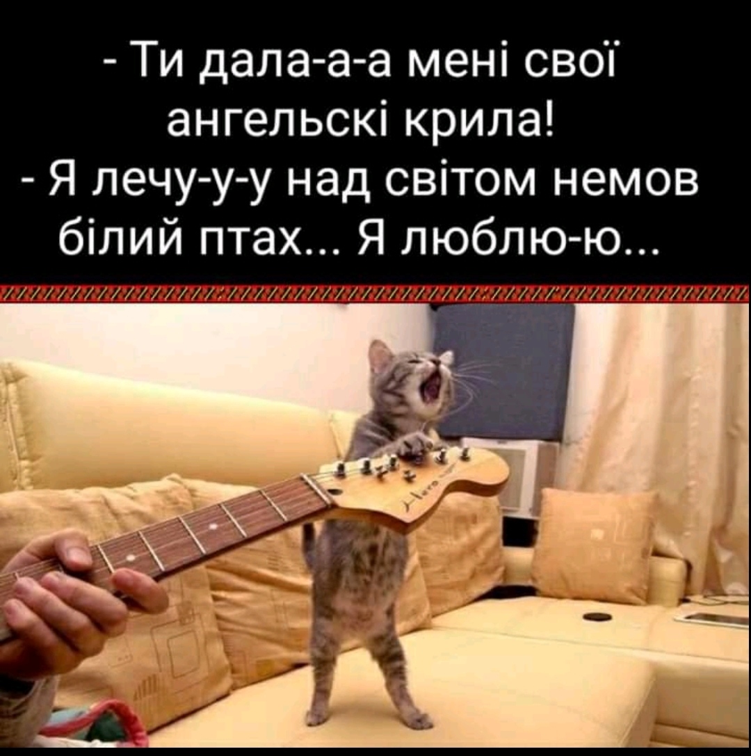 IMG_20210713_101213.jpg