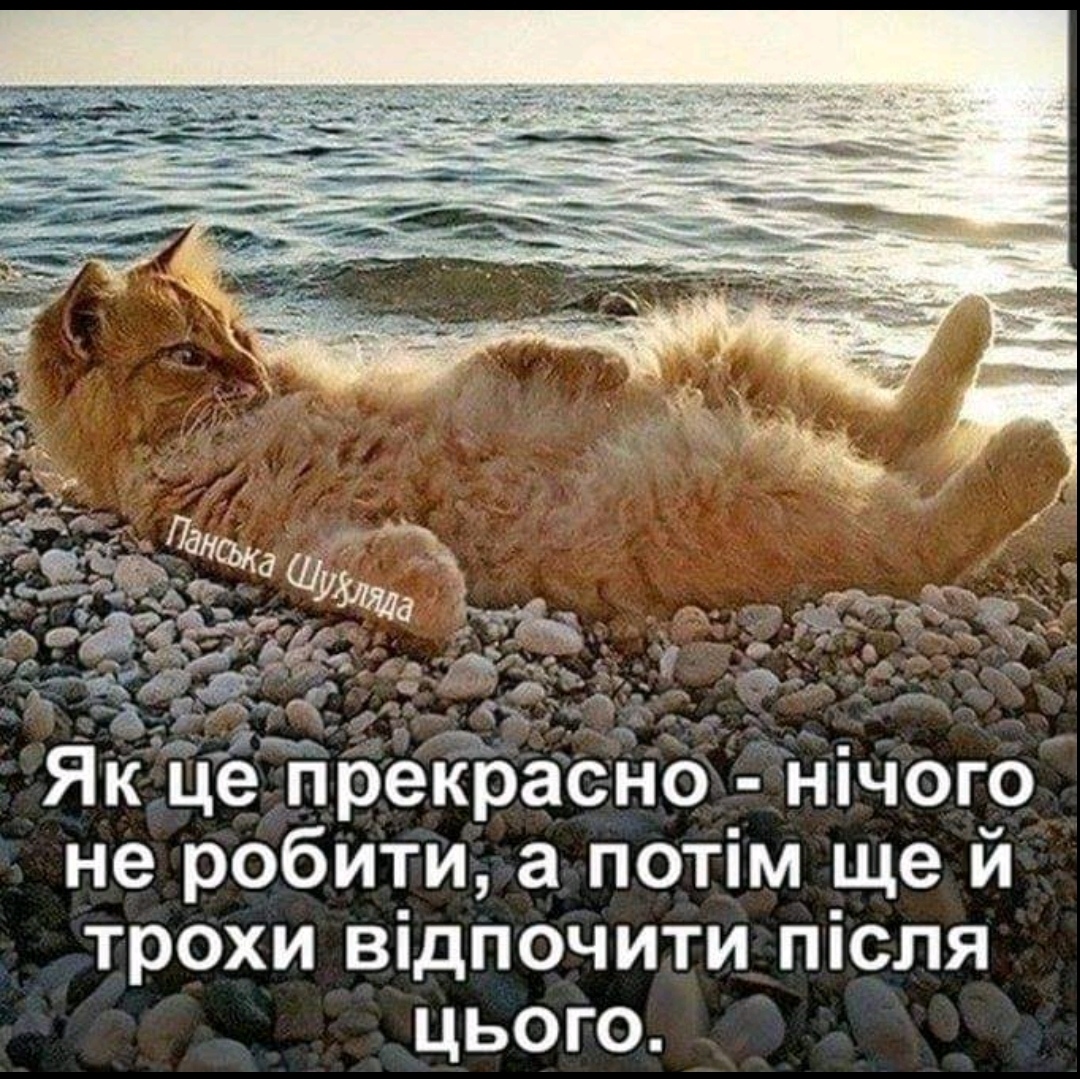 IMG_20210809_125810.jpg