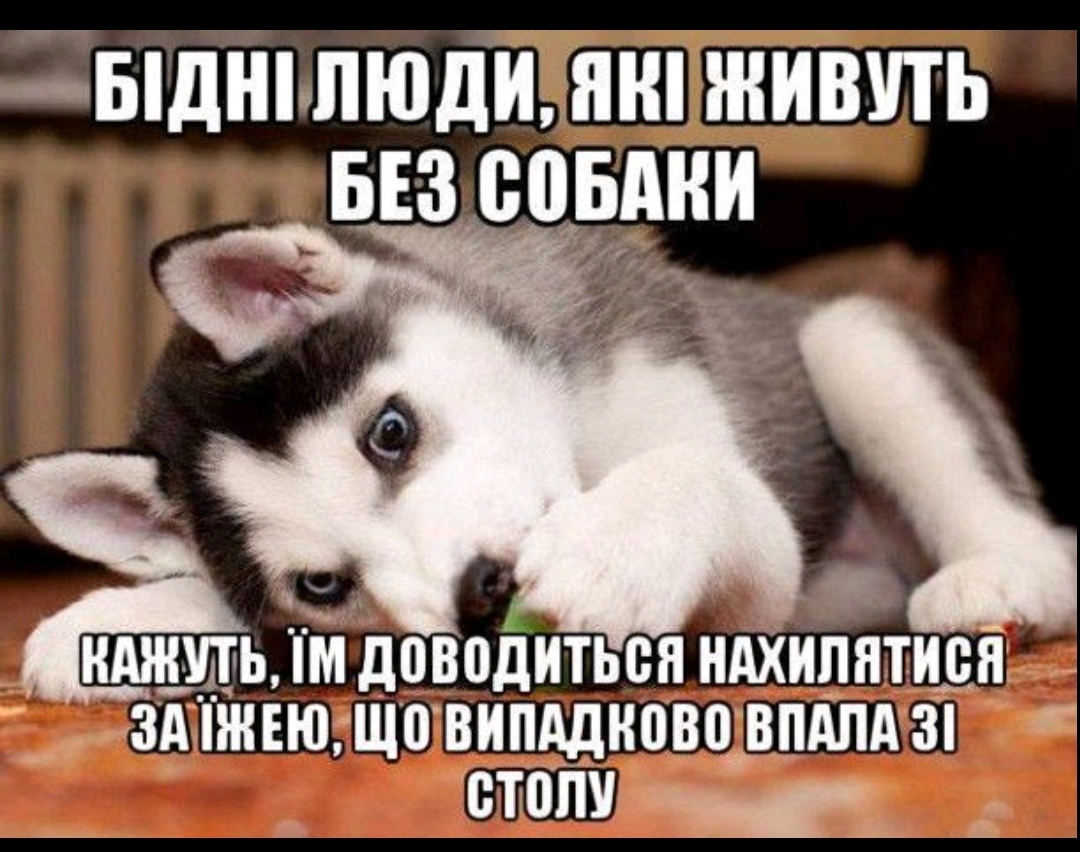 IMG_20210811_080240.jpg