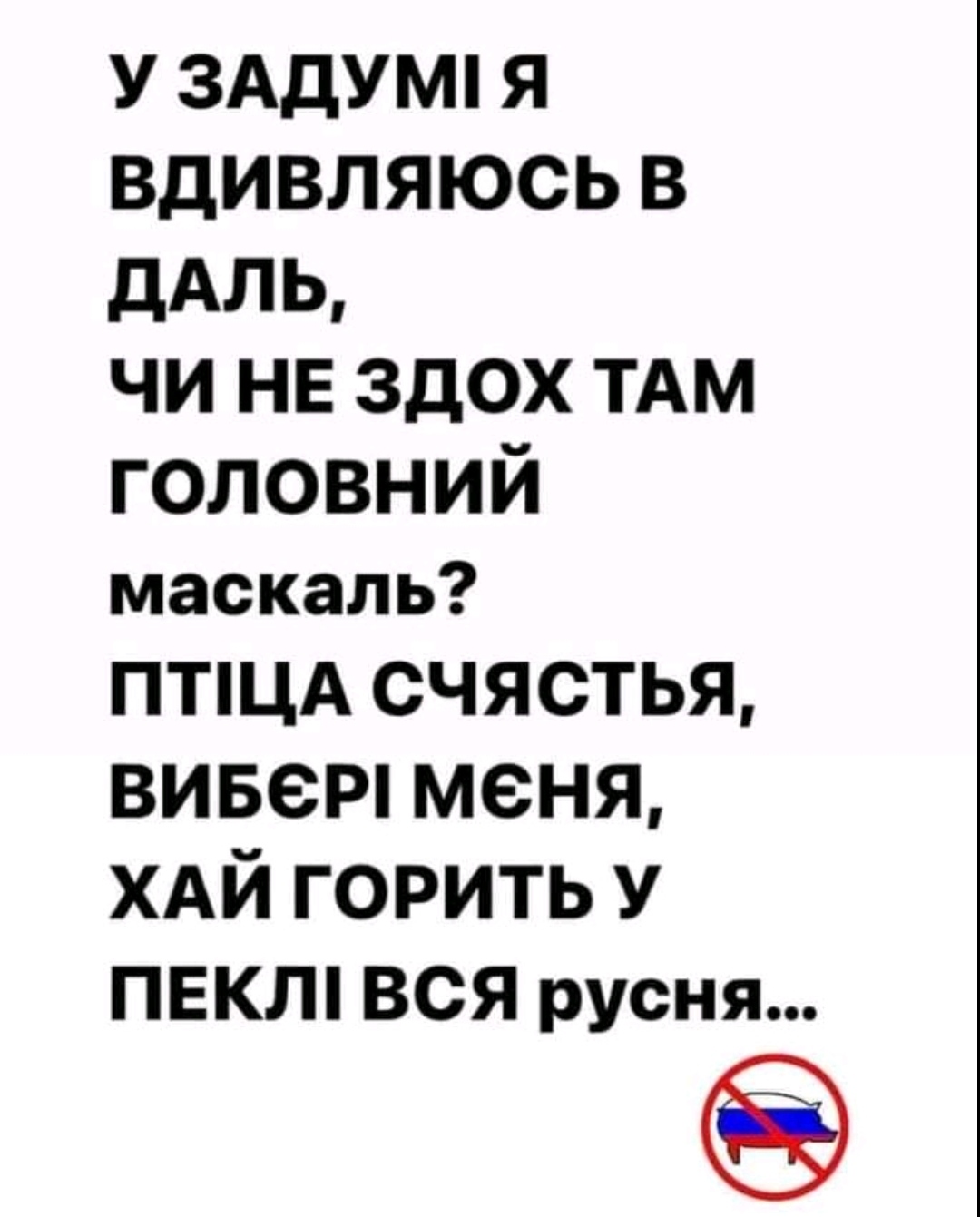 IMG_20220702_120555.jpg