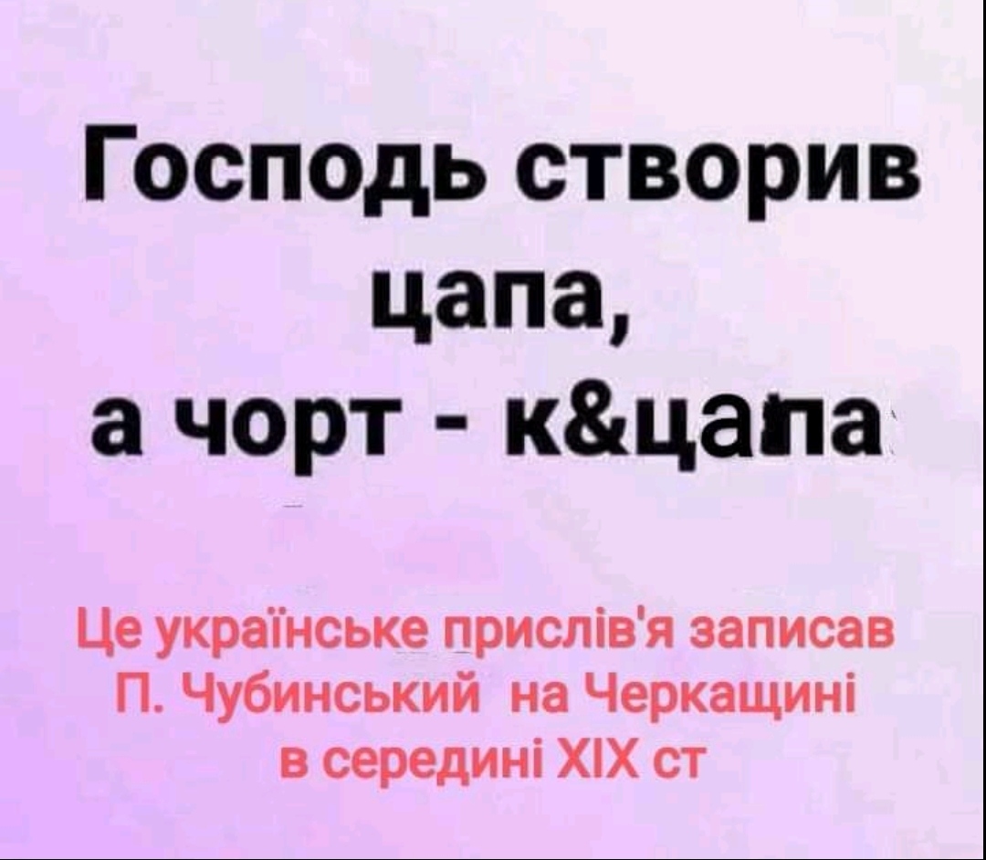 IMG_20220706_144410.jpg