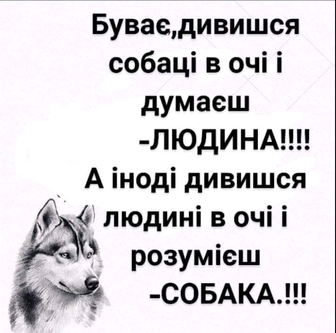 IMG_20220727_121006.jpg