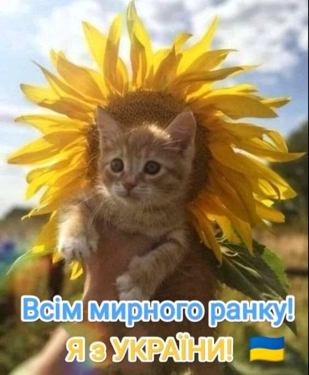 IMG_20220809_073721.jpg
