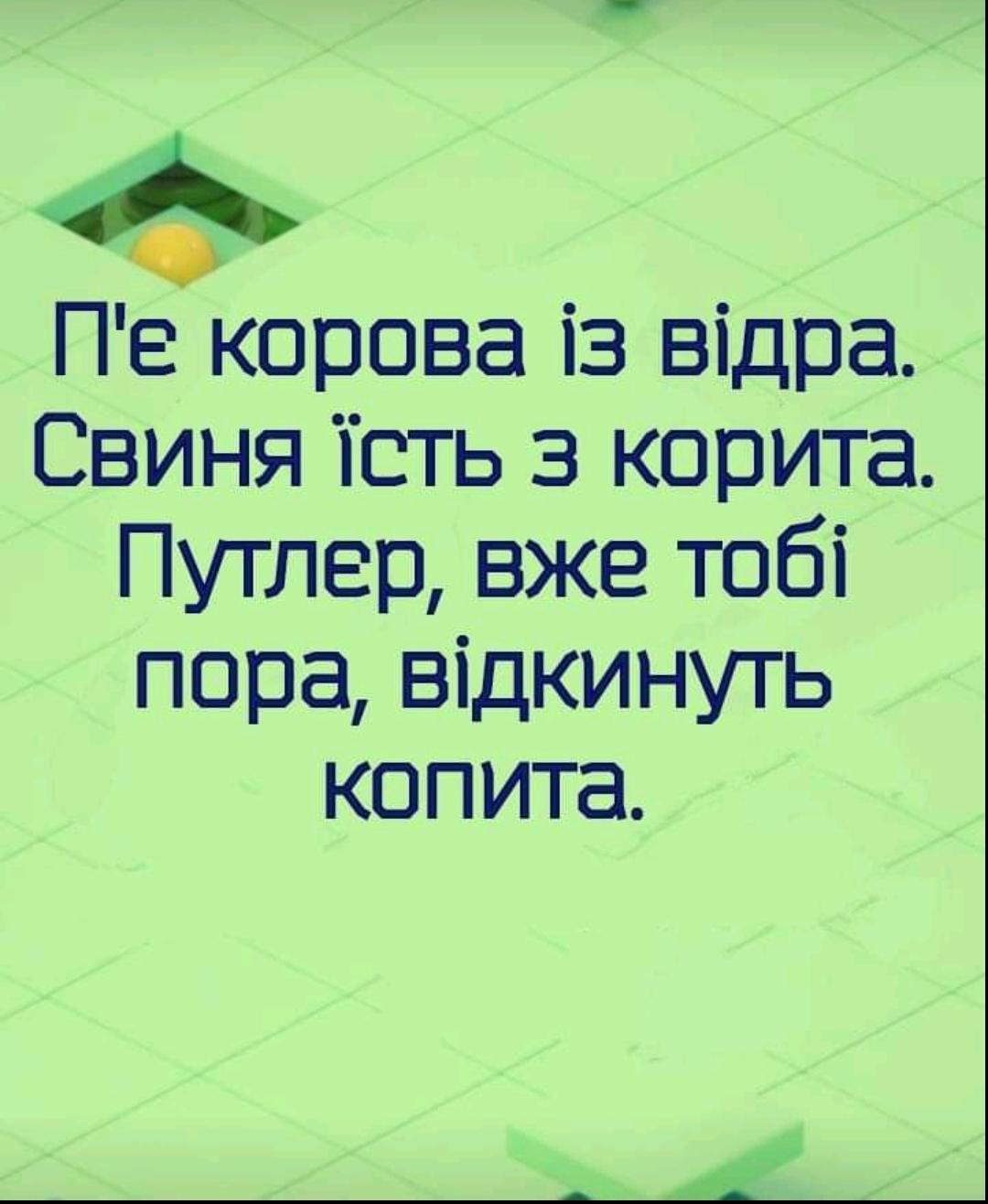 IMG_20220809_144045.jpg