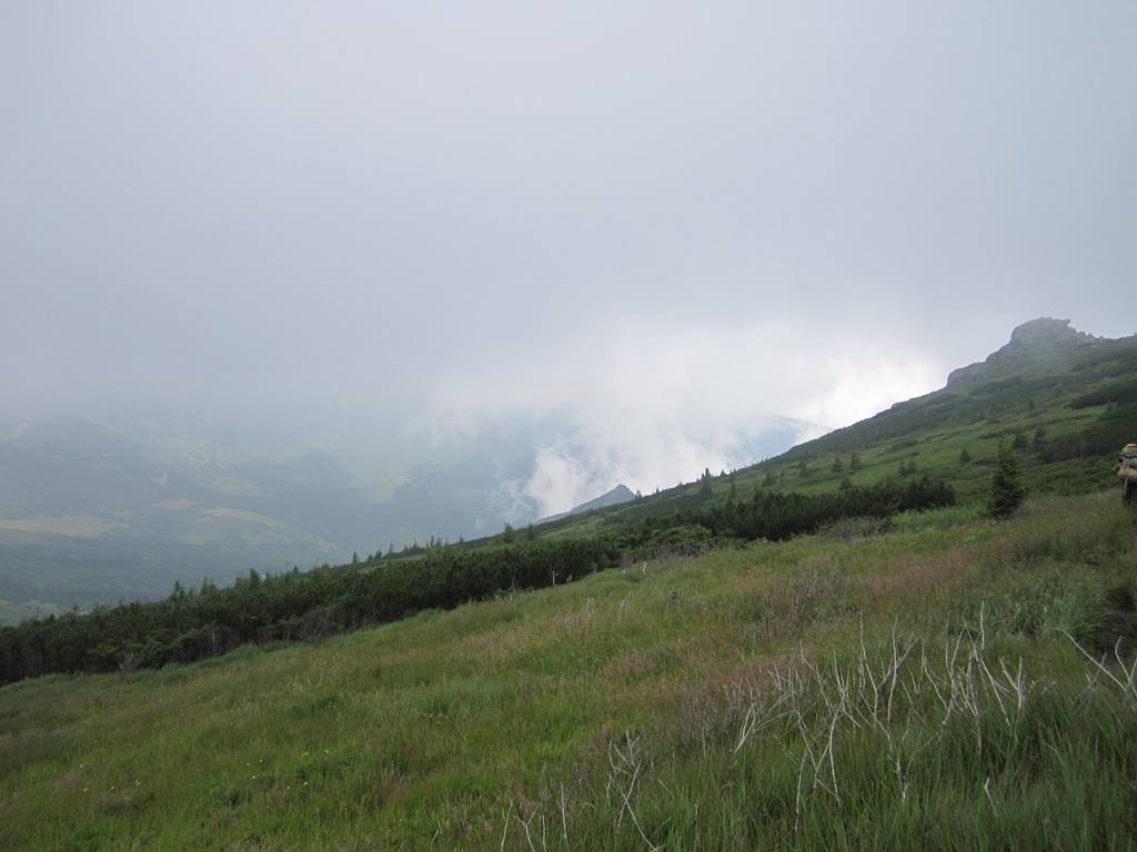 IMG_2263.JPG