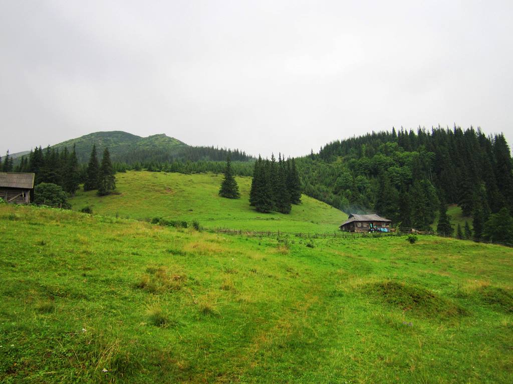 IMG_2268.JPG