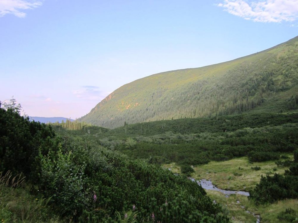 IMG_2350.JPG