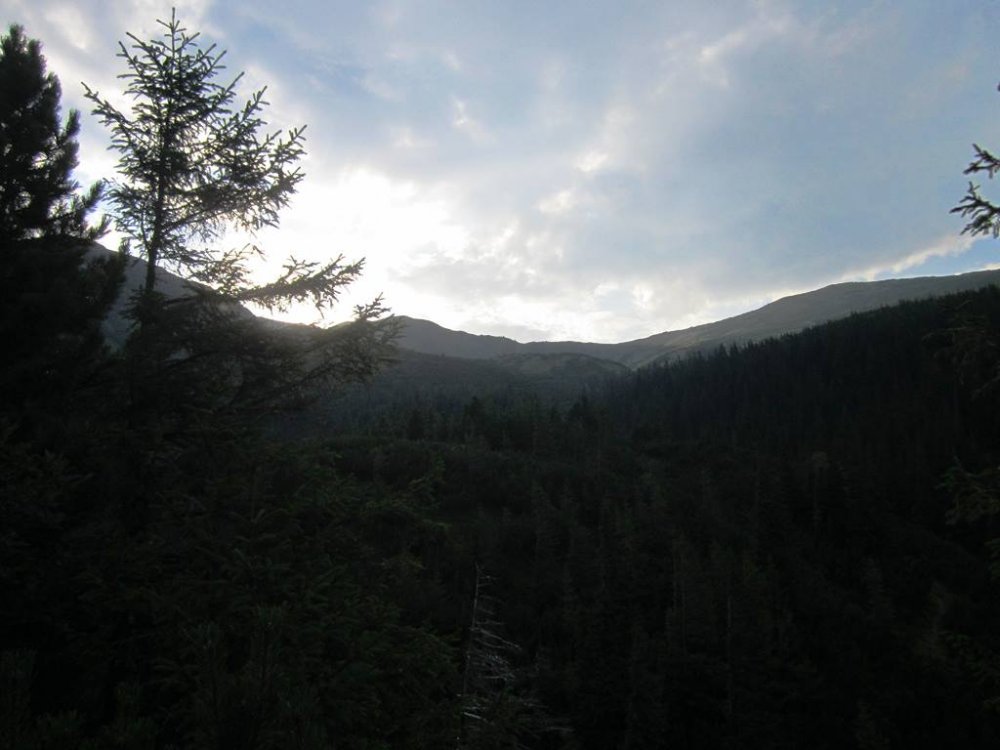 IMG_2354.JPG