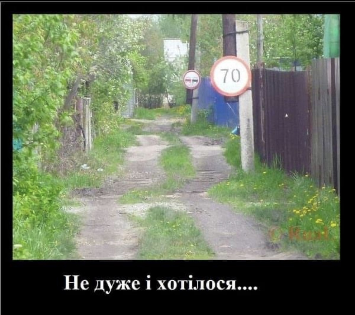 IMG_2429.jpeg