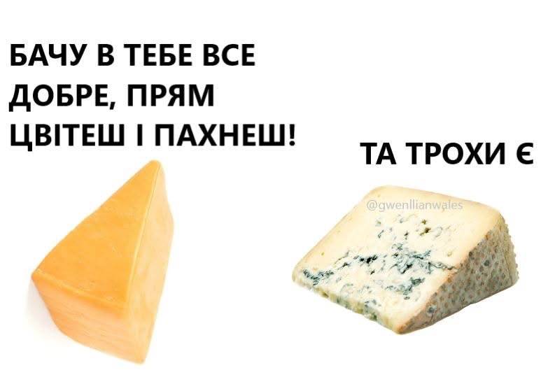 IMG_2553.jpeg